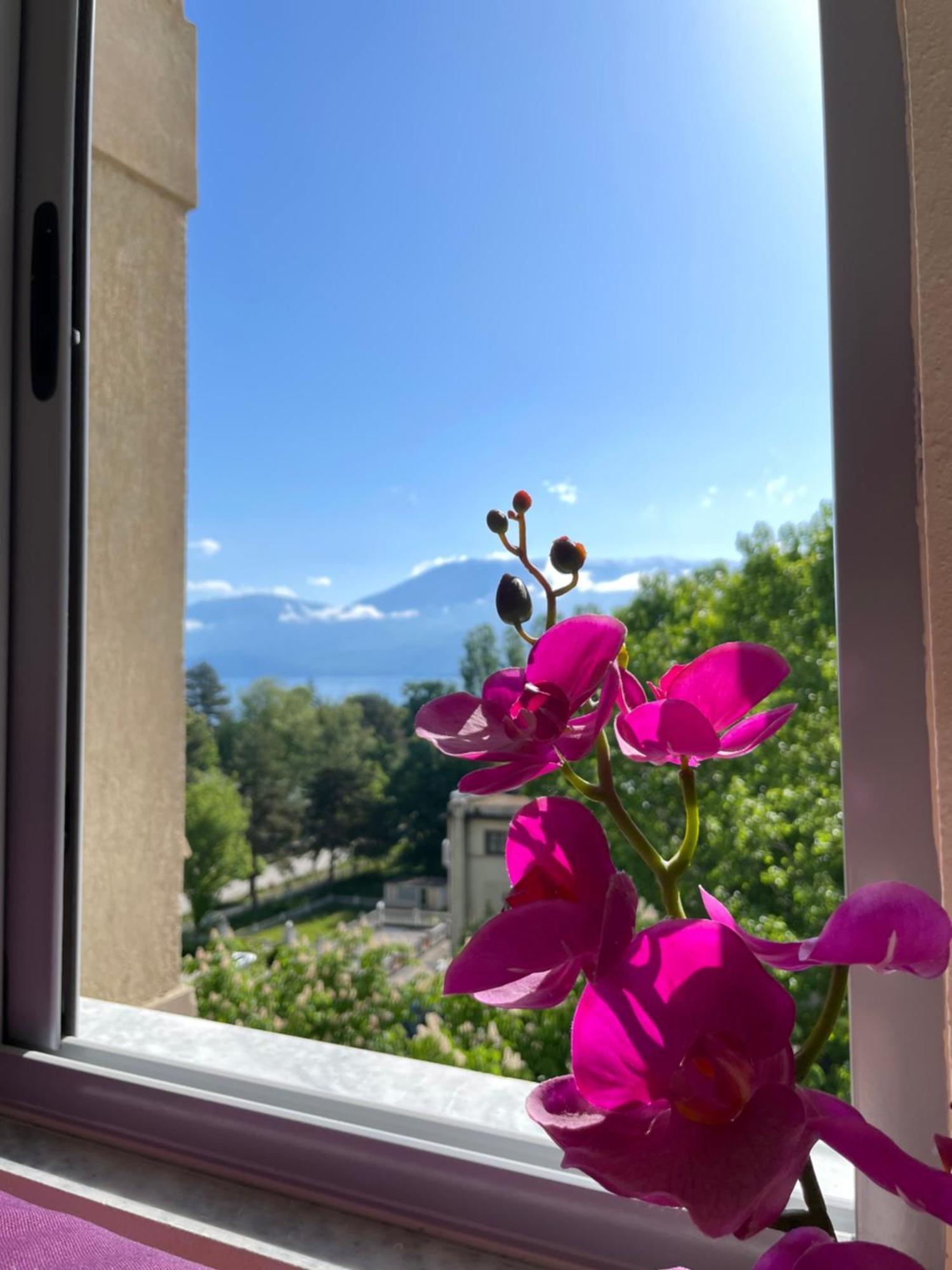 Lake View Πόγραδετς Εξωτερικό φωτογραφία