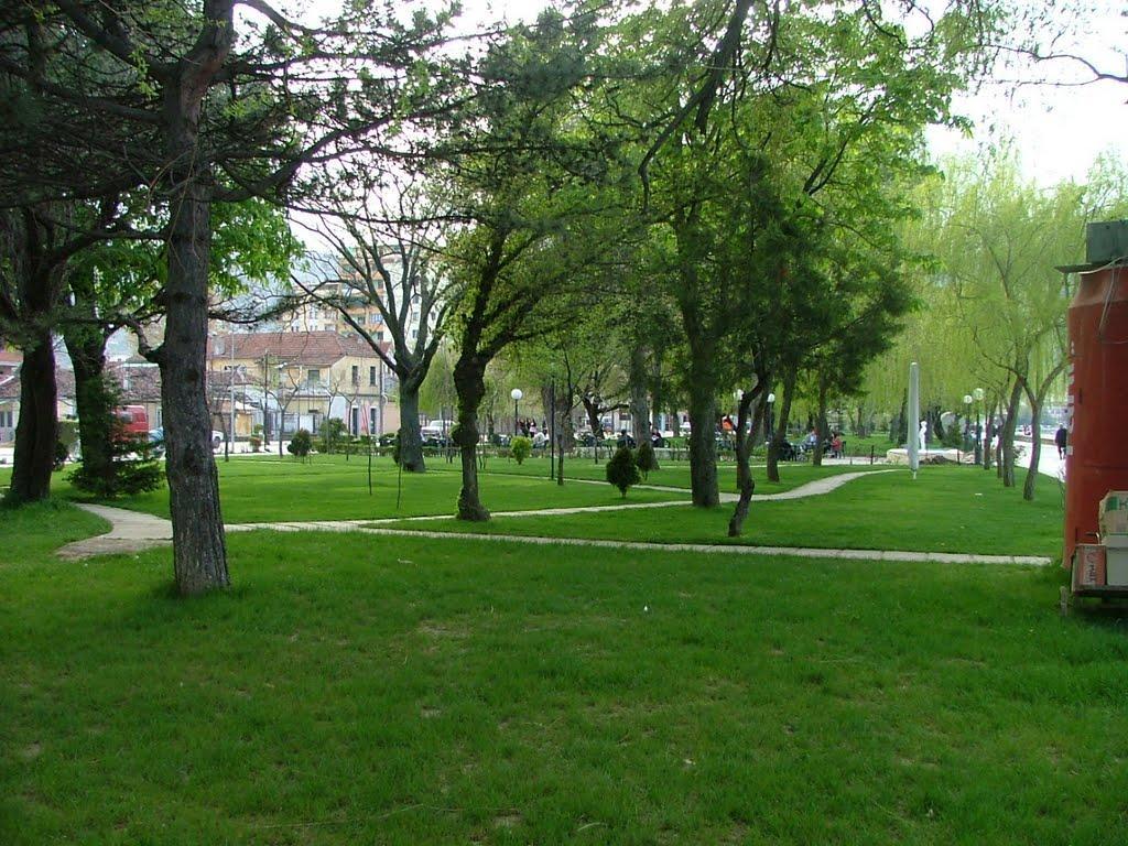 Lake View Πόγραδετς Εξωτερικό φωτογραφία
